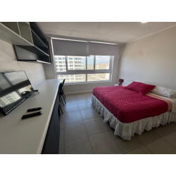 1 Dormitorio 1 Baño Amoblado contacto directo con propietario +56 9 9998 5045